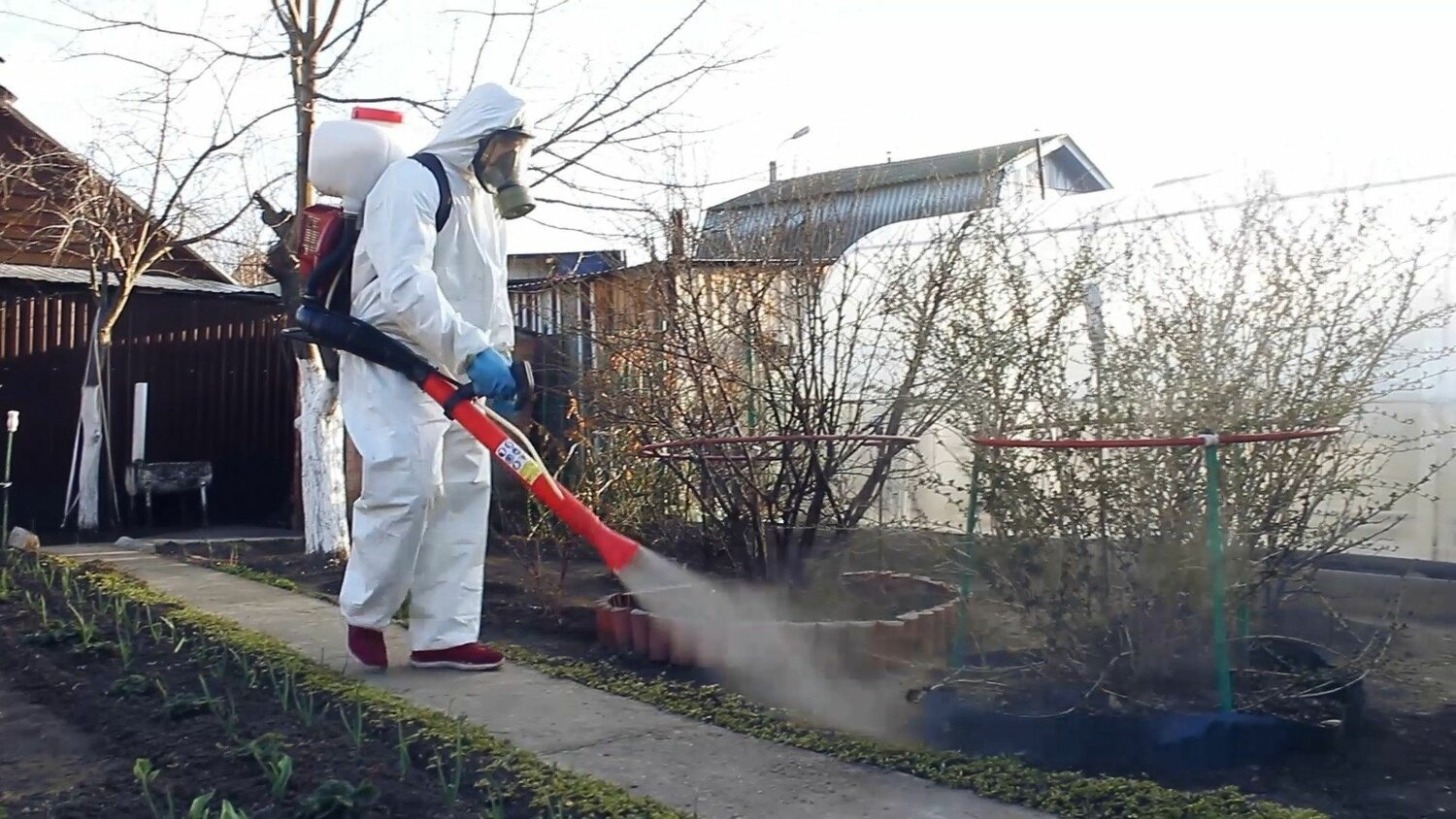 ФОТО Уничтожение муравьёв в поселке Московской области Барвиха