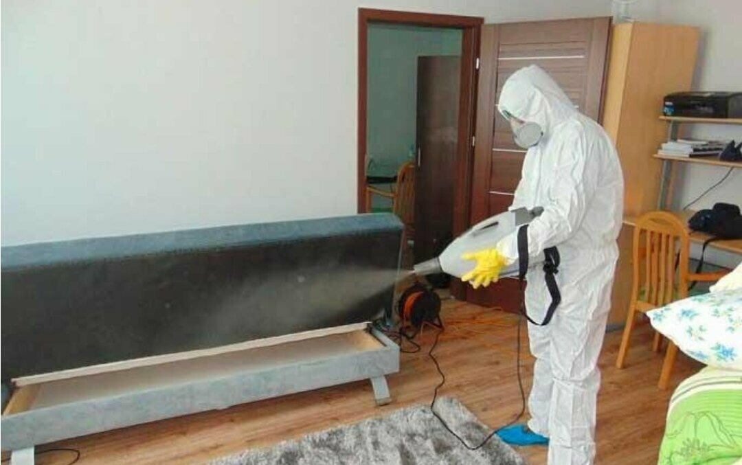 ФОТО Уничтожение блох в поселке Московской области Барвиха