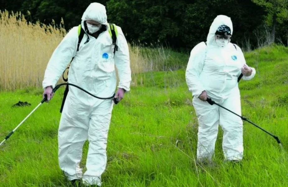 ФОТО Обработка от клещей в поселке Московской области Барвиха