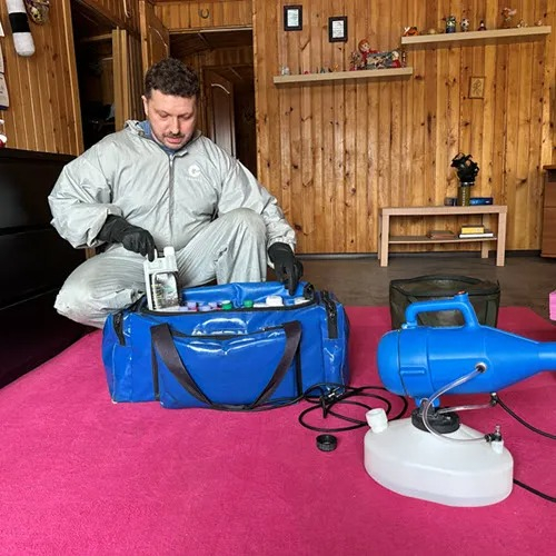 ФОТО Дератизация в поселке Московской области Барвиха