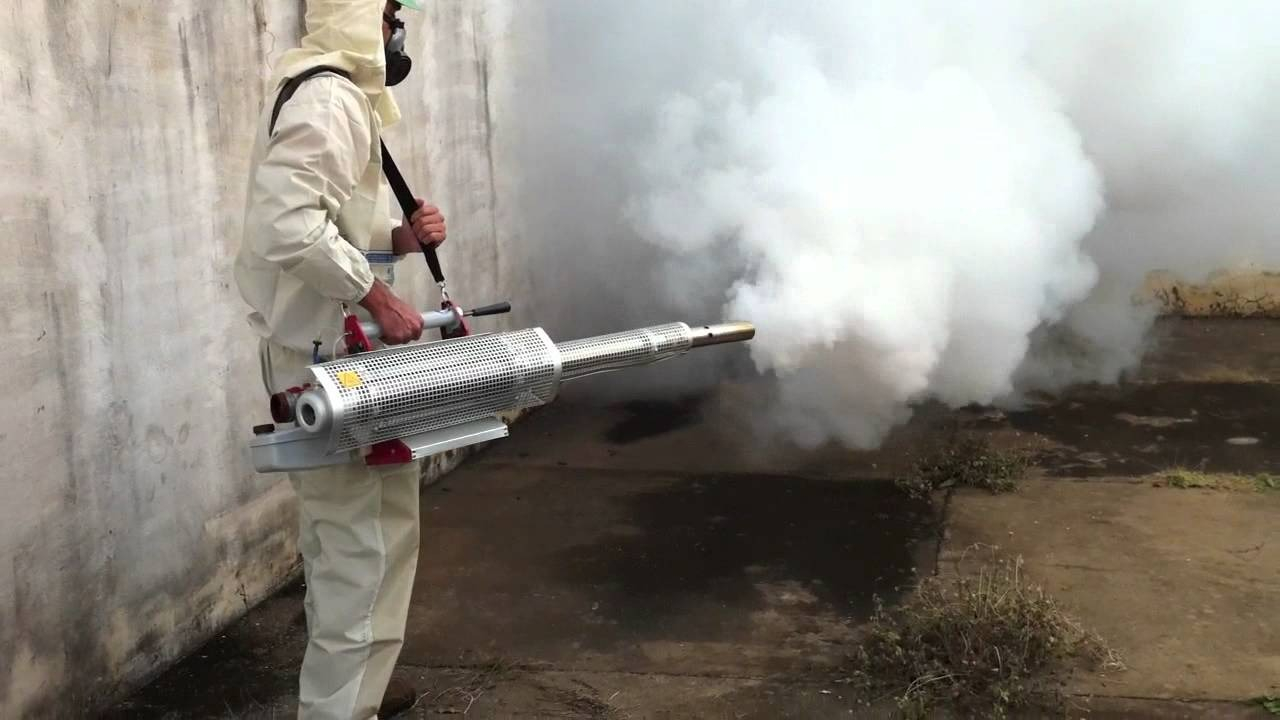 ФОТО Уничтожение мух в поселке Московской области Барвиха