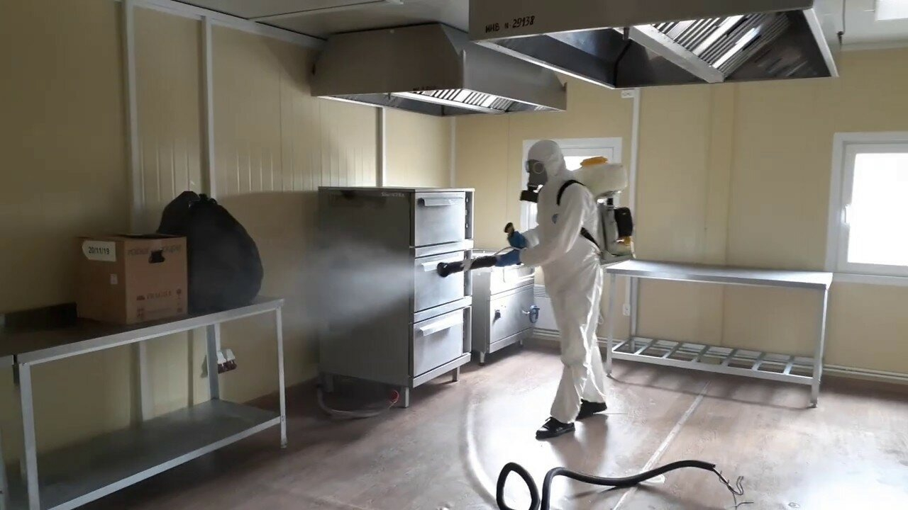 ФОТО Можно ли провести дезинсекцию самостоятельно и какие существуют риски в поселке Московской области Барвиха? | подробно