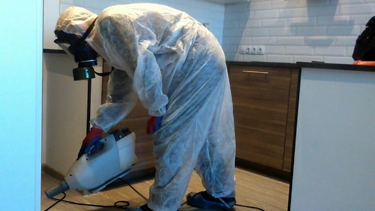 ФОТО Как подготовить домашних животных к обработке от насекомых в поселке Московской области Барвиха? | подробно