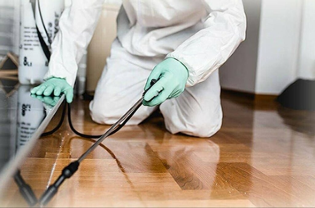 ФОТО Как подготовить вентиляцию при предстоящей дезинсекции в поселке Московской области Барвиха?