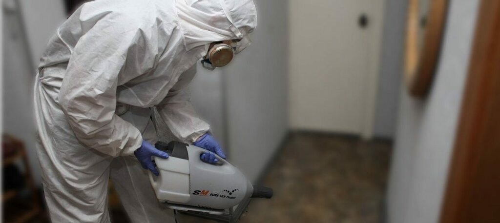 ФОТО Остаются ли следы после обработки квартиры от насекомых в поселке Московской области Барвиха? | подробно