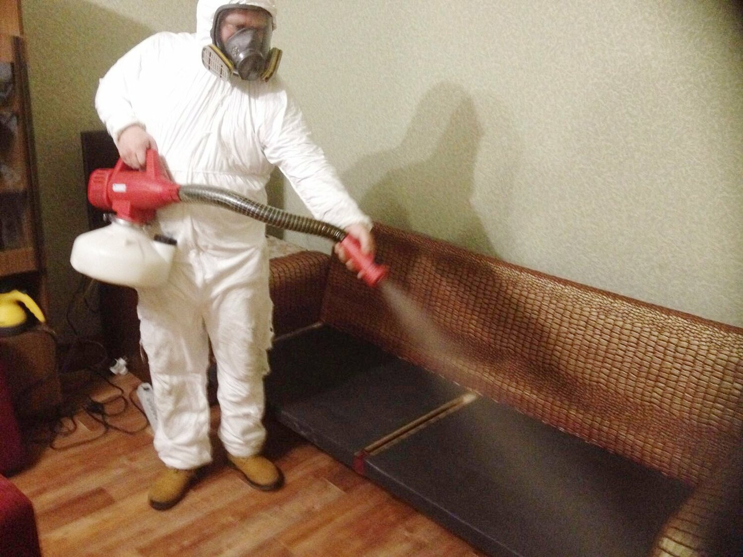 ФОТО Когда можно вернуться в помещение после дезинсекции в поселке Московской области Барвиха? | подробно