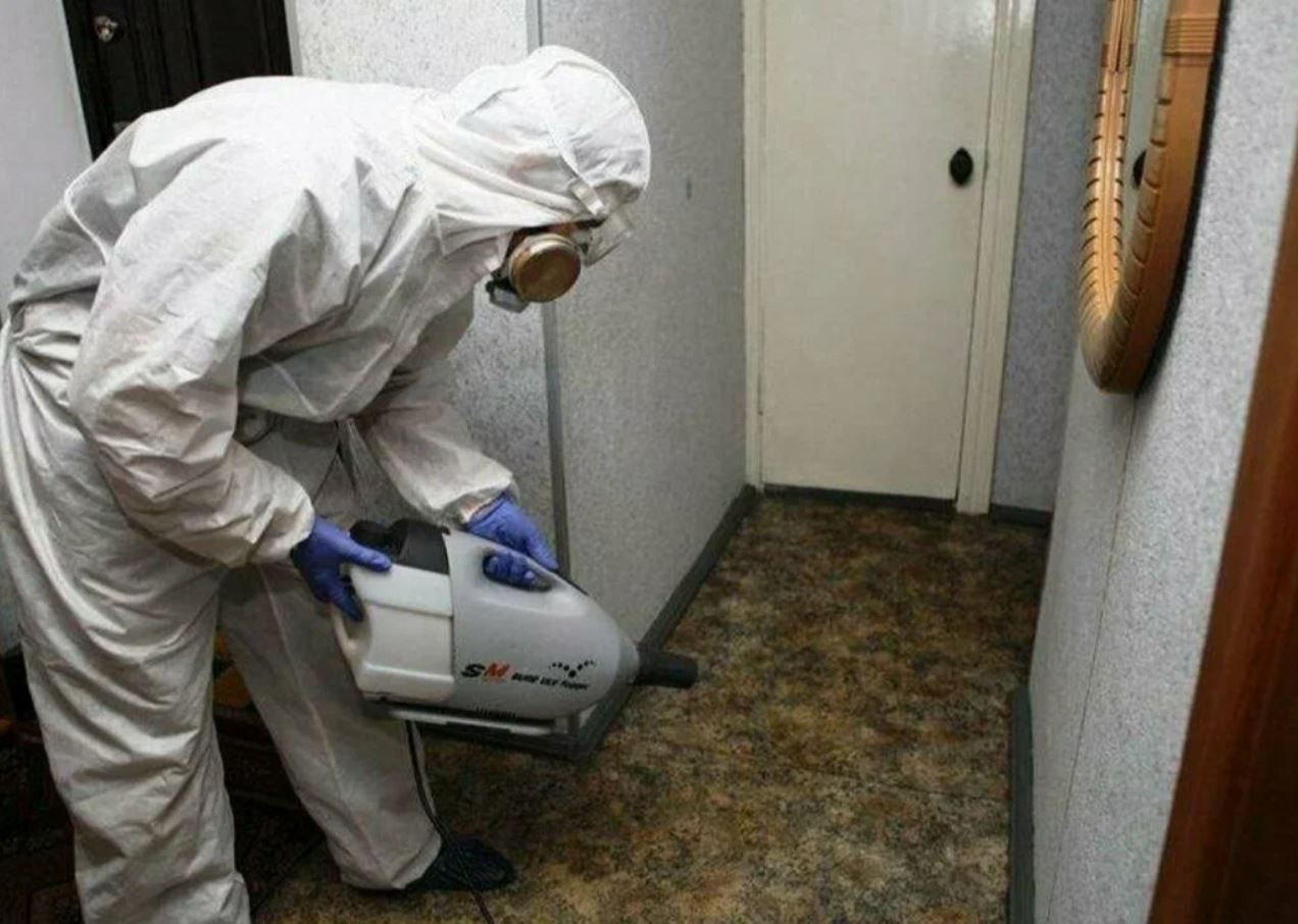 фото: Профессиональная дезинсекция в поселке Московской области Барвиха: <br/>+7-909-173-42-96