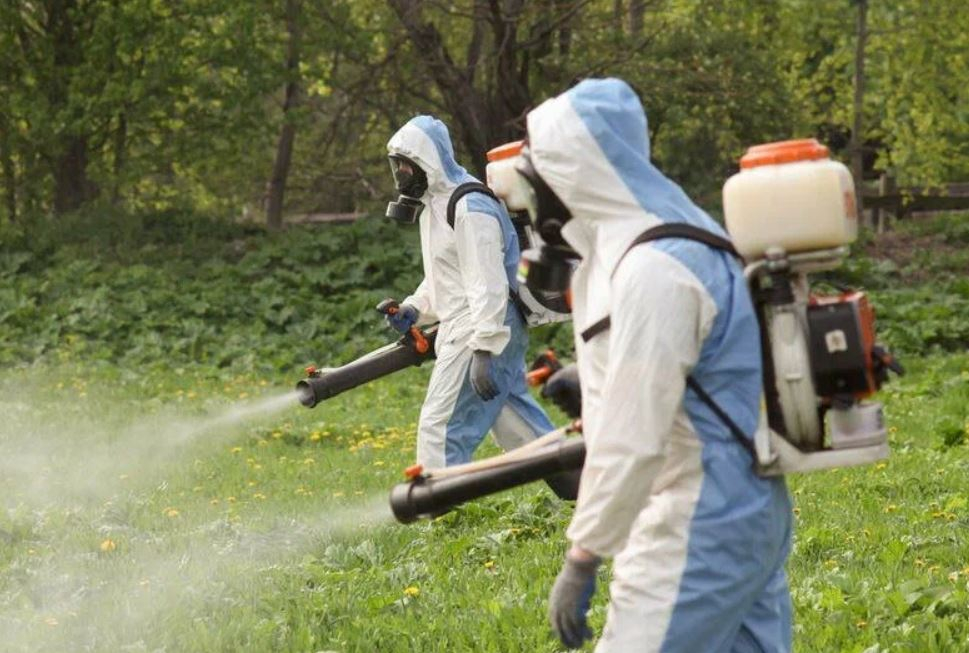 фото: Профессиональное уничтожение мух в поселке Московской области Барвиха: <br/>+7-909-173-42-96